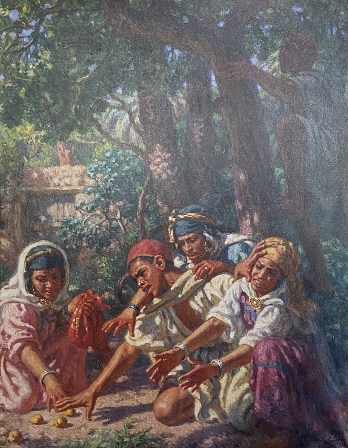 Raccolta delle albicocche